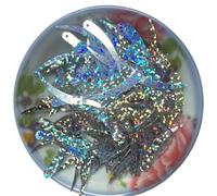 Lentejuelas 1000 lentejuelas planas color marfil con forma de chile, 5 x 32 mm, PVC, 1 orificio. Disponibles en 18 colores(Laser Silver)