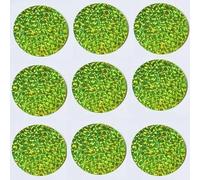 Lentejuelas sueltas, Lentejuelas redondas de PVC 280 holograma multicolor 30 mm for ropa danza del vientre(Light Green)