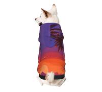 Lentering Light of the Setting Sun - Sudadera con capucha para perro, poliéster suave y transpirable, ropa para mascotas para perros pequeños, niños y niñas