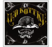 Leo Kottke - Six & Twelve String Guitar