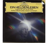 Leon Spierer - Strauss-Karajan -une Vie de Heros [Vinilo]