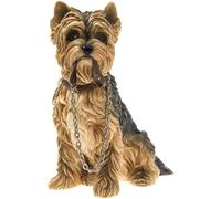Leonardo Collection The LP08282 - Estudios para Perros de Yorkshire Terrier Sentado, Multicolor