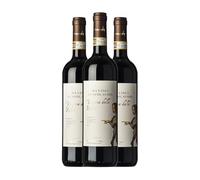 Leonardo da Vinci Vergine delle Rocce Chianti 75 cl Vino tinto (Caja de 3 Botellas de 75 cl)