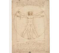 Leonardo da Vinci's Vitruvian Man Sketch Book: SketchBook, Notebook for Drawing, Writing, Painting and Doodling. Artist's Notebook. 8,5x11 in. Cream Color Paper.