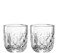LEONARDO HOME GOCCE 055180 - Juego de 2 vasos de espresso (60 ml, 2 unidades, para portafiltros, apto para lavavajillas, estructura de gota, transparente), diseño transparente