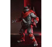 Leonardo Nightwatcher. Teenage Mutant Ninja Turtles: The Last Ronin - Lost Years