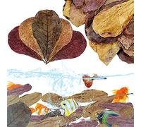 LeonBach 100 piezas de catappa grande para peces, 5-8 pulgadas, 250 g, hojas de almendra india que crean un ambiente nativo, hojas de catappa beta para acuario, decoración de tanques, camarones,