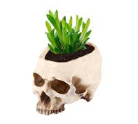 Leopacat Macetas de Calavera,Macetero con Forma Cabez,DecoracióN de Halloween Caramelo Cuenco Resina Maceteros De Flores para Suculentas DecoracióN de Escritorio Oficina en Casa 16,5 X 11,5 X 11 cm