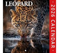 Leopard Calendar 2026: Stealth and beauty captured in the wild each month