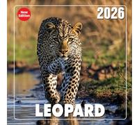 Leopard Calendar 2026: Stealth and beauty captured in the wild each month