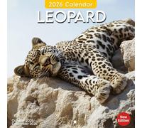 Leopard Calendar 2026: Stealth and beauty captured in the wild each month