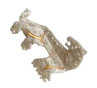 Leopard Claw Clip | Animal Shape Hair Claw Clamp | Non-Slip Hair Clip Styling Accessories | Fashion Headpiece for Birthday and Holiday, Trendy Hair Accessory for Effortless Hairstyles