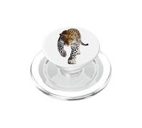 Leopardo Feroz Leopardo Salvaje Caza Leopardo Fresco Leopardo PopSockets PopGrip para MagSafe