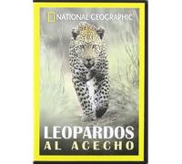 Leopardos Al Acecho (Nat.Geo.) [DVD]