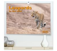 Leopards in the wild (High Quality Premium Wall Calendar 2026 DIN A2 landscape),CALVENDO 12 Month Wall Calendar: Impressive leopard pictures from East Africa