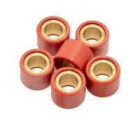 LeoVince - Juego de pesas variadoras (6 rollos de 20 x 15 mm, 12,3 g)