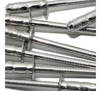 LeoVince - Juego de remaches de repuesto para sistema de escape