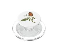 Lepidopterista del Ciclo de Vida de la Mariposa monarca PopSockets PopGrip para MagSafe