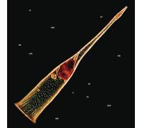 Leprous - Melodies Of Atonement