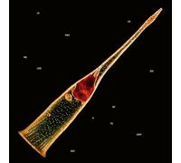 Leprous - Melodies Of Atonement [Vinilo]