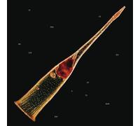 Leprous Melodies of Atonement (Vinyl) (Importación USA)