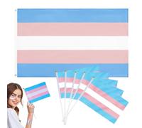 LEPZUR Trans Flag Transgénero Pride Set Trans Bandera Trans 150 X 90 Cm Transgénero Bandera Pride Para Interior Exterior Varias Vacaciones Fiesta Con 5 Cinco Banderitas