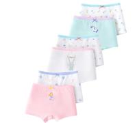 LeQeZe Bragas para niña Paquete de 6 algodón Calzoncillos para Niñas 2-3 años (Mixed Color 12,Etiqueta del Fabricante 110)