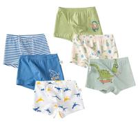 LeQeZe Calzoncillos Niños Algodón Pack de 6 Boxers Suaves y Transpirables con Motivos de Dinosaurios Coches y Animales 9-11 años Talla 150
