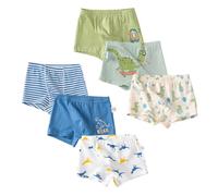LeQeZe Calzoncillos Niños Algodón Pack de 6 Boxers Suaves y Transpirables con Motivos de Dinosaurios Coches y Animales 7-9 años Talla 140
