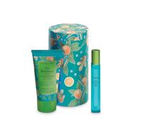 L'Erbolario Gin Botanicals Beauty Box Rizoma de jengibre - Fragancia 10 ml + Crema corporal perfumada 75 ml + Envasado - EDICIÓN LIMITADA - Aroma cítrico, aromático y almizcle