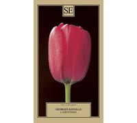 L'erotismo (Saggi e documenti del Novecento)