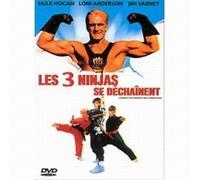 Les 3 ninjas se déchainent