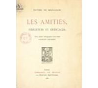 Les Amitiés (ebook)