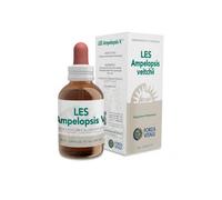 Les Ampelopsis Weitchii Drops