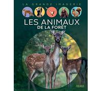 Les animaux de la forêt (LA GRANDE IMAGERIE)