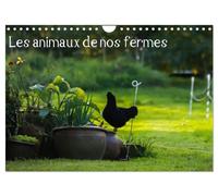 Les animaux de nos fermes (Calendrier mural 2026 DIN A4 vertical), CALVENDO calendrier mensuel: Photographie de différents animaux de fermes