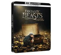 Les Animaux Fantastiques 4K Ultra Hd [Blu-Ray]
