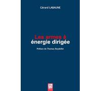 Les armes à énergie dirigée: Approche géopolitique et rupture stratégique dans les guerres du futur ?