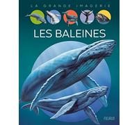 Les baleines (La grande imagerie)
