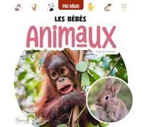 Les bébés animaux