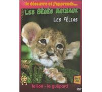 Les bebes animaux, vol.1 : les felins [Francia] [DVD]