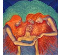 Les Big Byrd - Diamonds, Rhinestones and Hard Rain [Vinilo]