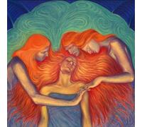 Les Big Byrd - Diamonds, Rhinestones and Hard Rain [Vinilo]