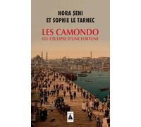 Les Camondo ou L'éclipse d'une fortune