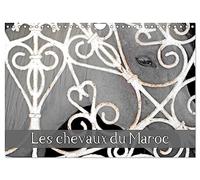 Les chevaux du Maroc (Calendrier mural 2026 DIN A4 vertical), CALVENDO calendrier mensuel: Balade dans les haras marocains