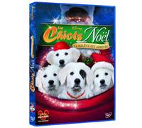 Les Chiots Noël, la relève est arrivée [Francia] [DVD]