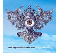 LES CLAYPOOL'S FROG BRIGADE - THE BIG EYEBALL IN THE SKY