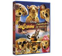 Les Copains chasseurs de trésor [Francia] [DVD]