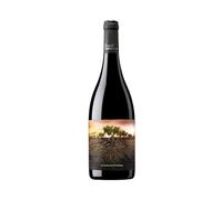 Calatayud Garnacha Olvidada de Aragón 2022
