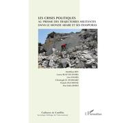 Les crises politiques au prisme des trajectoires militantes dans le monde arabe et ses diasporas: 134